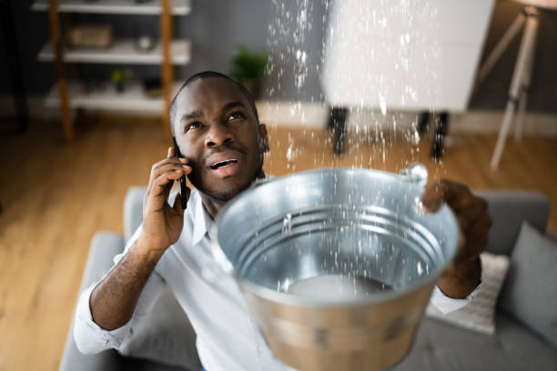Best Emergency water damage restoration  in Ravenel, SC