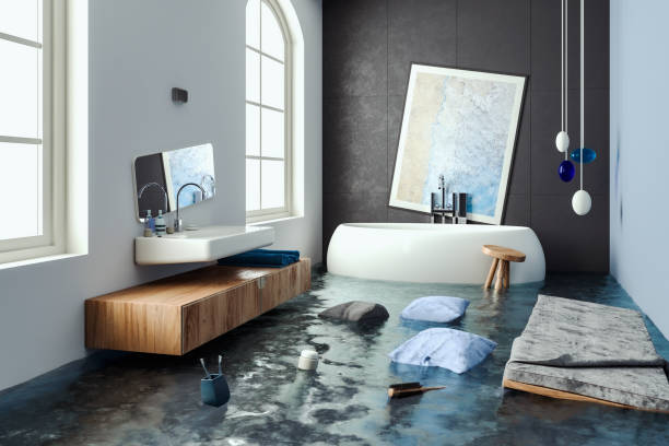 Best Water damage restoration experts  in Ravenel, SC
