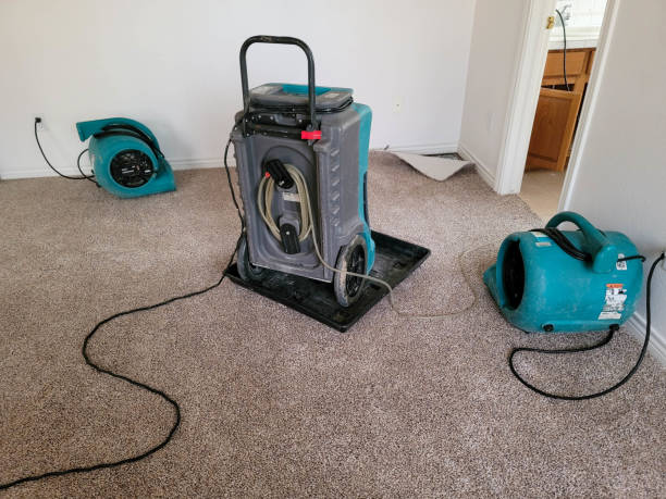 Best Water damage restoration near me  in Ravenel, SC