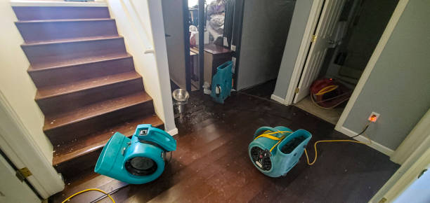 Best Commercial water damage restoration  in Ravenel, SC