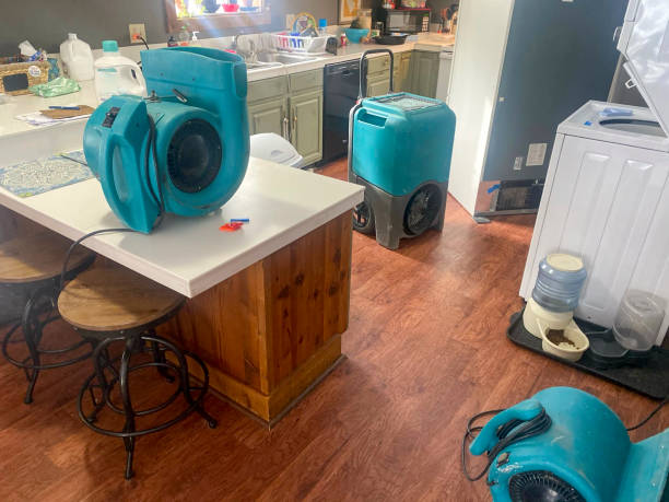 Best Professional water damage repair  in Ravenel, SC