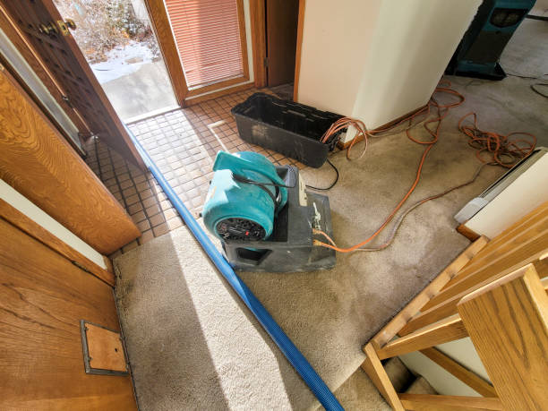 Best Flood damage cleanup  in Ravenel, SC