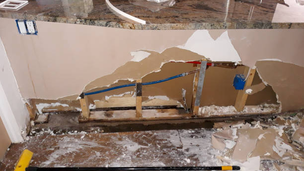 Best Water damage cleanup near me  in Ravenel, SC