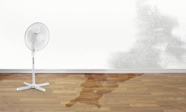 Best Sewage cleanup and water damage restoration  in Ravenel, SC