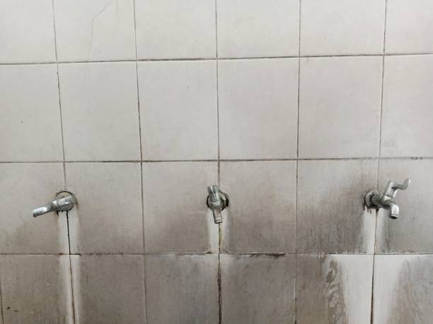 Best Carpet water damage restoration  in Ravenel, SC