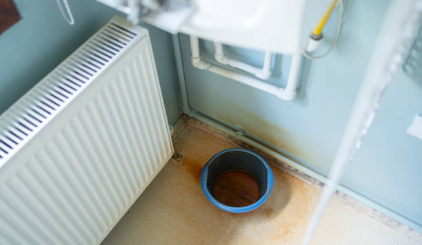 Best Sewage cleanup and water damage restoration  in Ravenel, SC