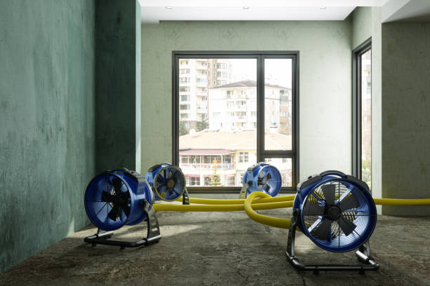 Trusted SC Water damage restoration Experts