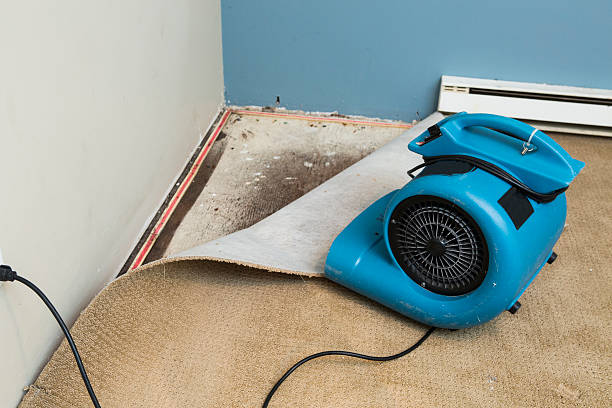 Best Water damage restoration near me  in Ravenel, SC